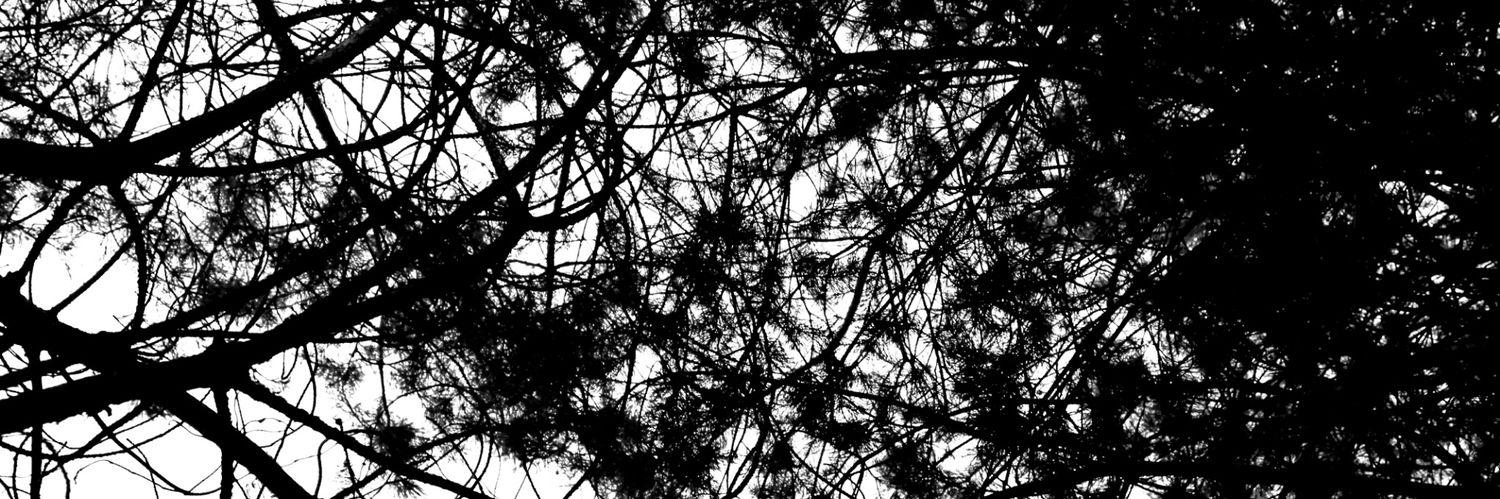 Ninxxoxo's profile banner image