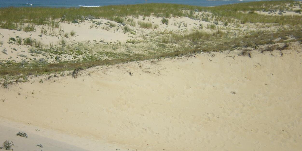 DE VECCHY HELENE banner