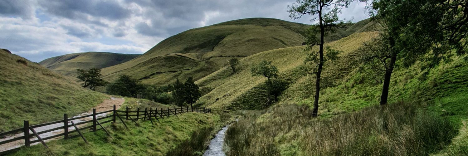 Flora Tickell 💙 banner