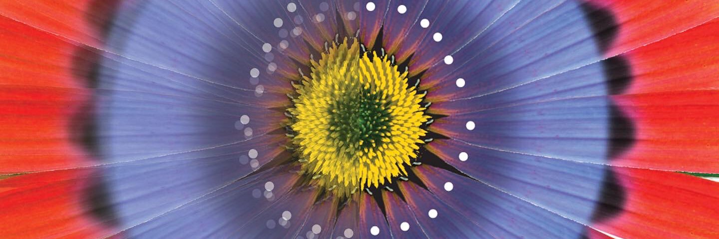 Solmentes's profile banner image