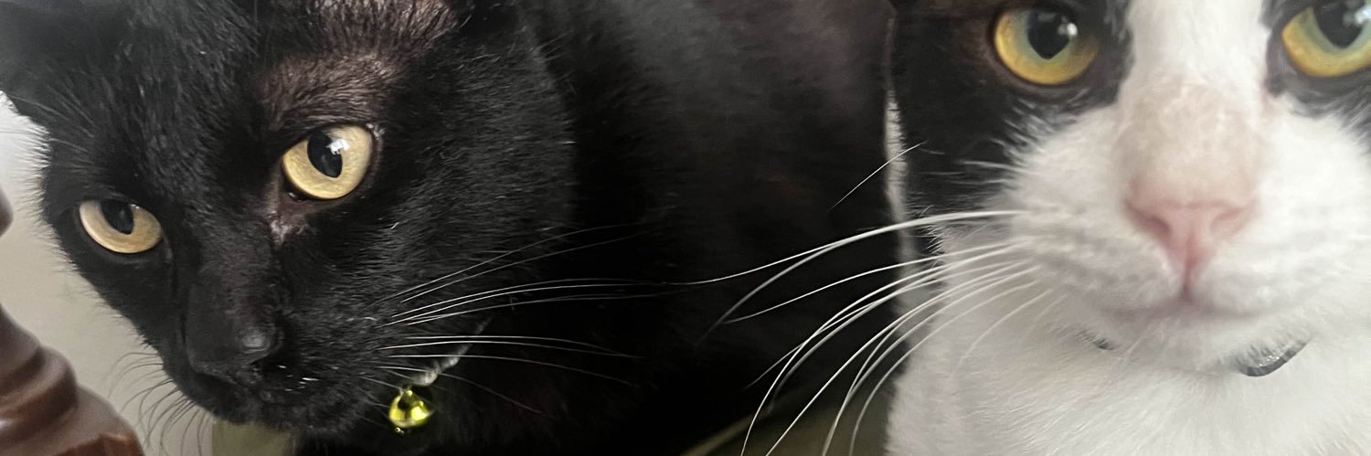 adreeinn's profile banner image