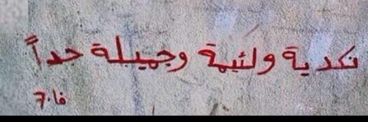 الوزيرة🦌طال عمرها banner