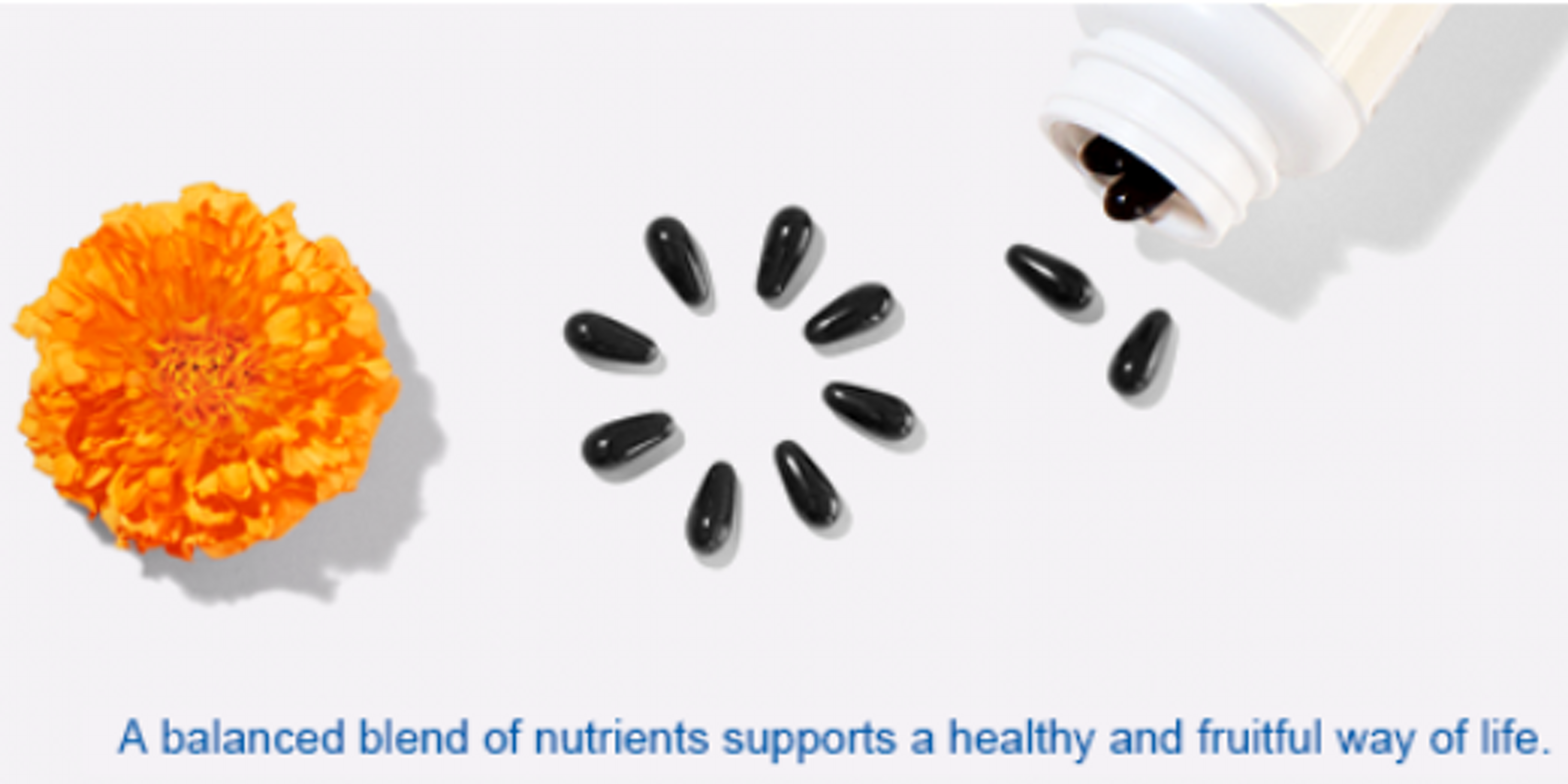 vitaminmata's profile banner image