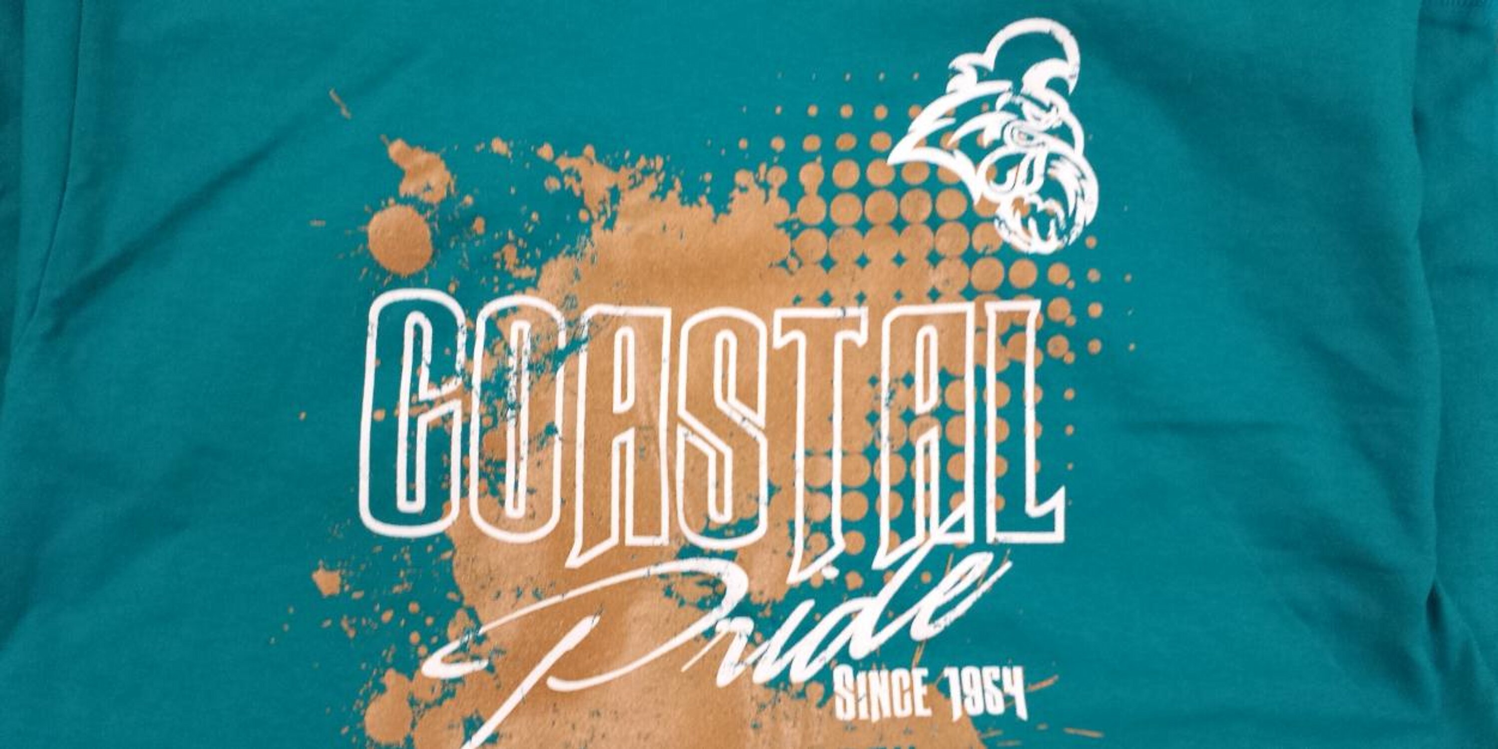 Teal Tuesday  banner