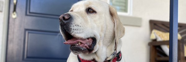 RICKMA Profile Banner