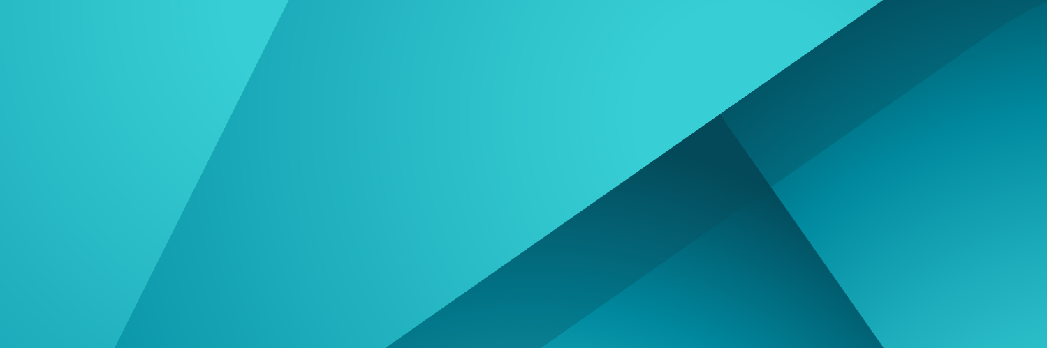 RandiFlesland's profile banner image