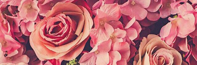 PHRN99's profile banner image