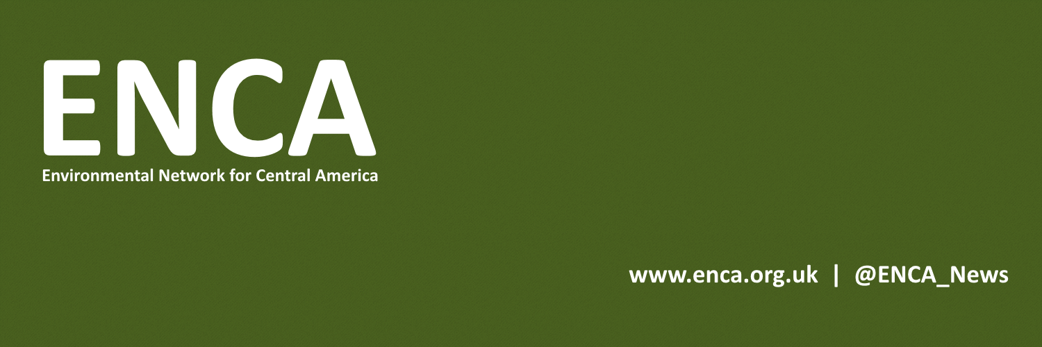 ENCA_News's profile banner image