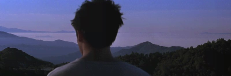 tigrsjaws's profile banner image