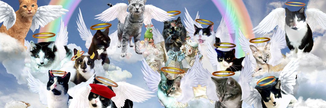 Harmony & Angel BeeGee's banner