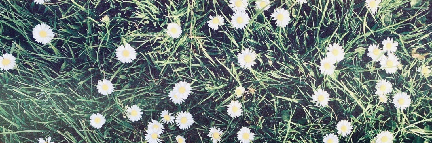 hydratedharries's profile banner image