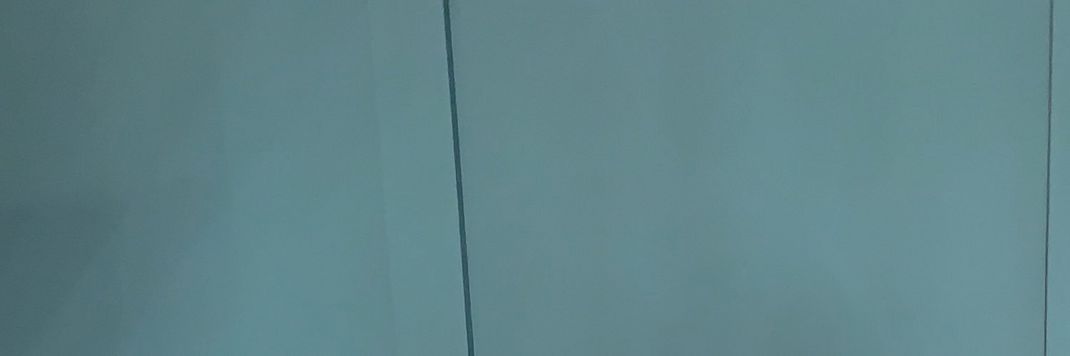 ali_bntsvch's profile banner image