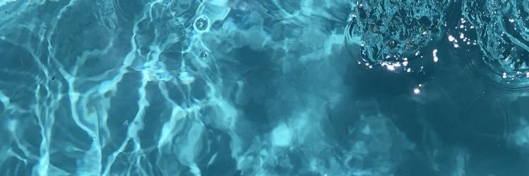 leylayagmurceli's profile banner image