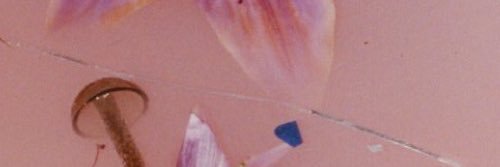 MyceliDebby's profile banner image
