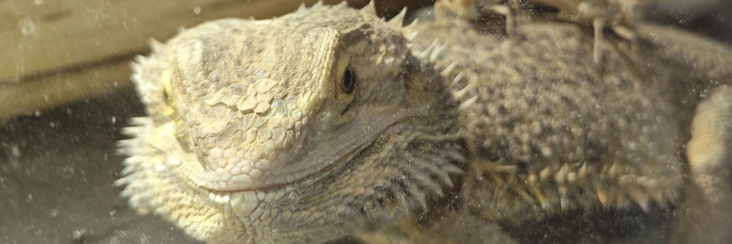 woouap's profile banner image