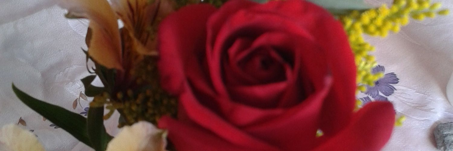 Delgadera's profile banner image