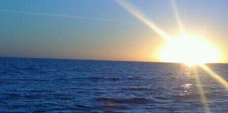 Raza de Bronce banner