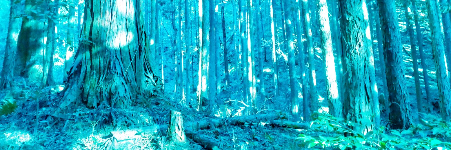 田口 和 banner