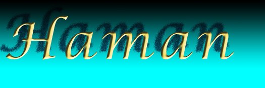 hamanewz's profile banner image