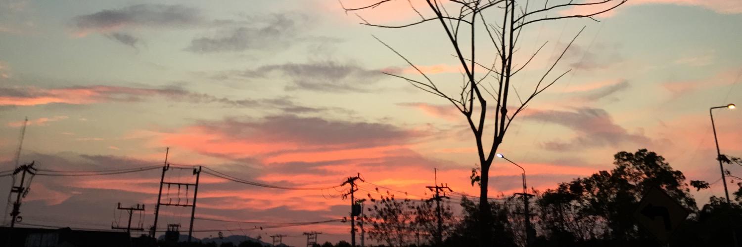 ppuypuiii's profile banner image