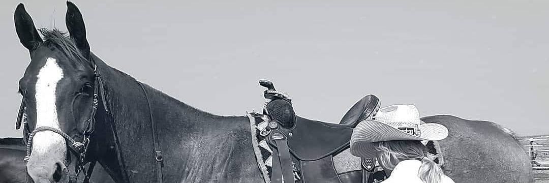 sshaniam's profile banner image