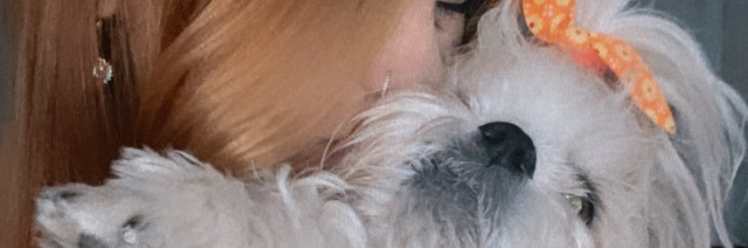 elviraleit's profile banner image