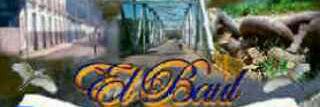 El Baul Cojedes banner