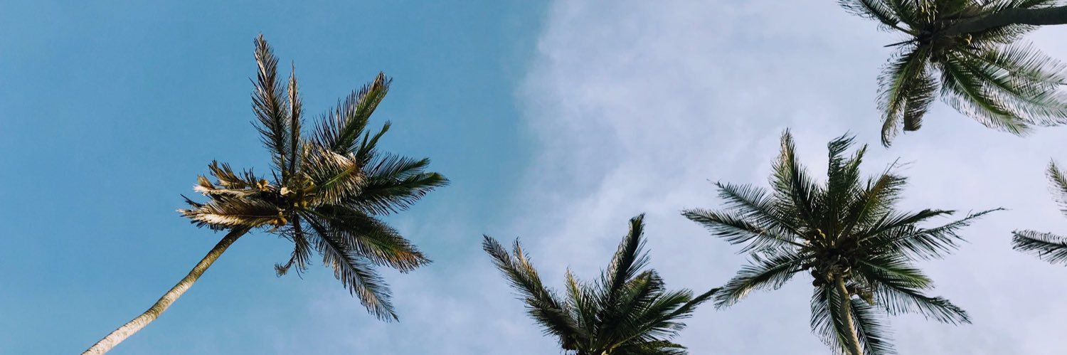 unanutripiola's profile banner image