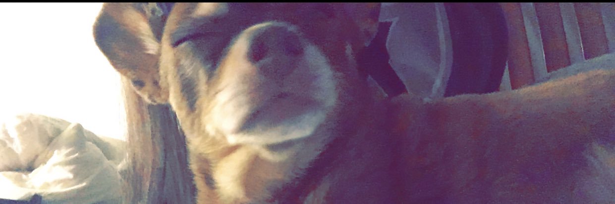 Ryda 🇲🇽 banner