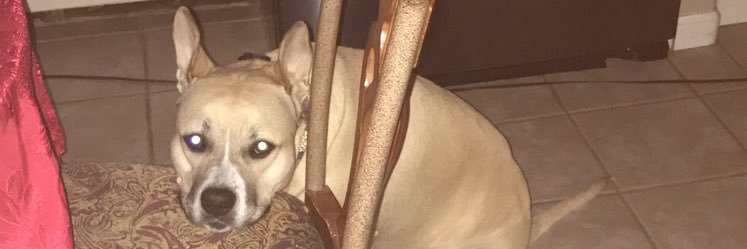 itz_danyyy's profile banner image
