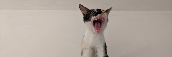 acojavi Profile Banner