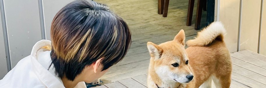 ✿⋆｡𐐪𐑂 เพ่ยเพ่ย 𐐪𐑂｡⋆✿ banner