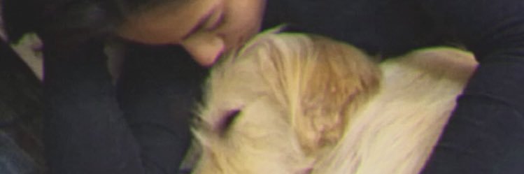 Taamara_paz's profile banner image