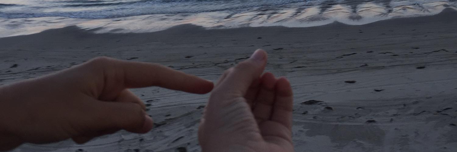cheeseandbean's profile banner image