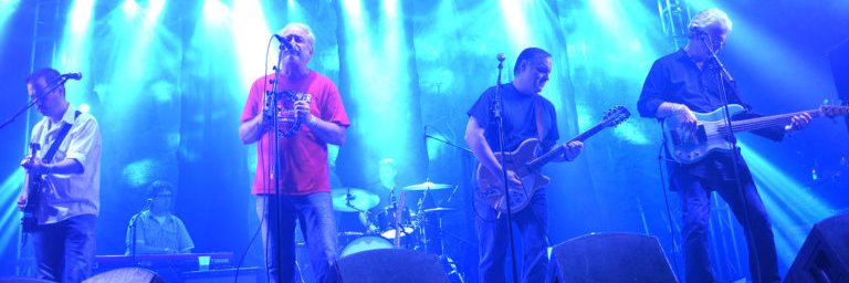 pettytheftDFW banner