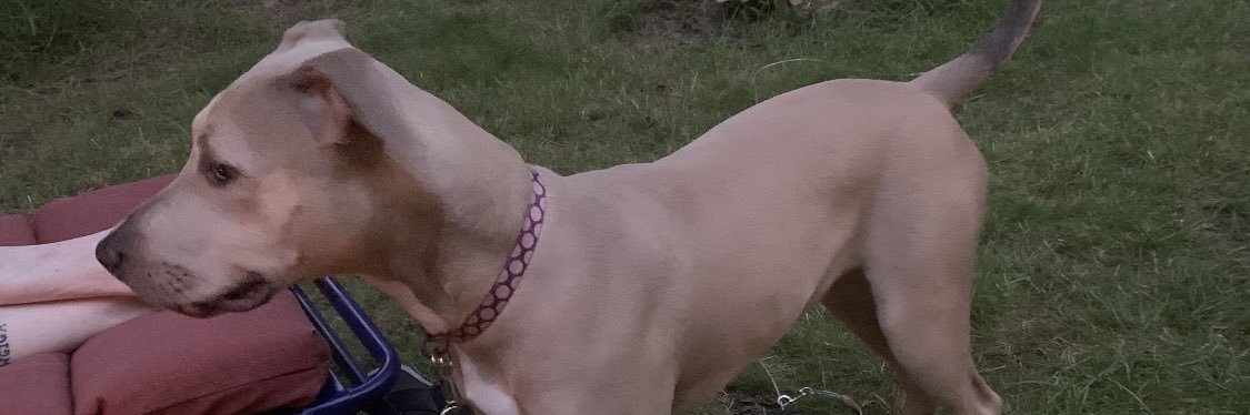 RyanRbaier420's profile banner image