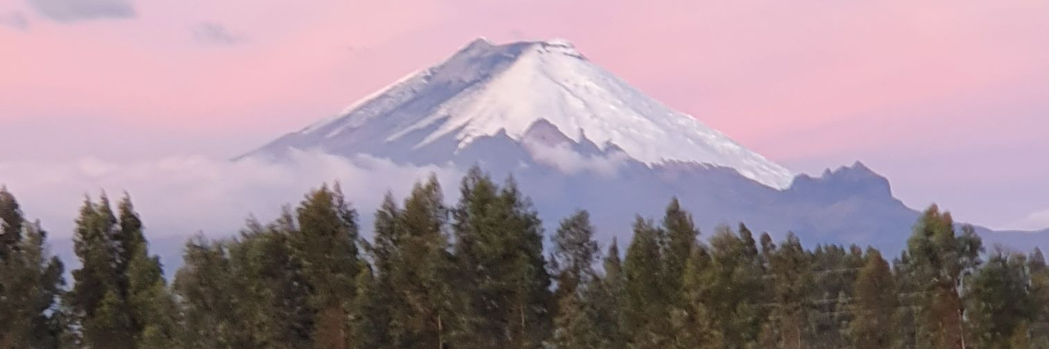 Fadiach's profile banner image