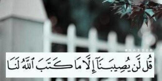 SatarMohammed's profile banner image