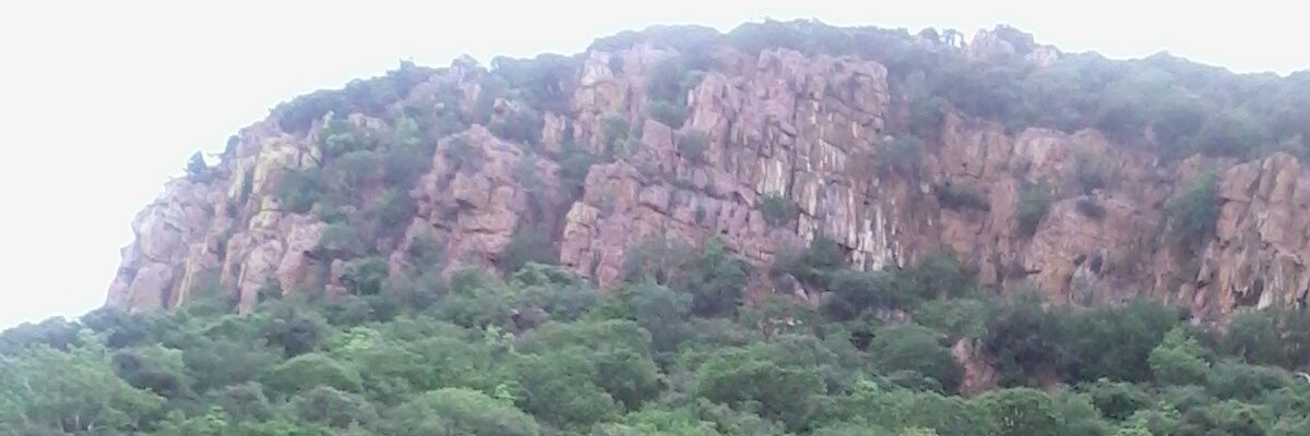 tshilliz's profile banner image