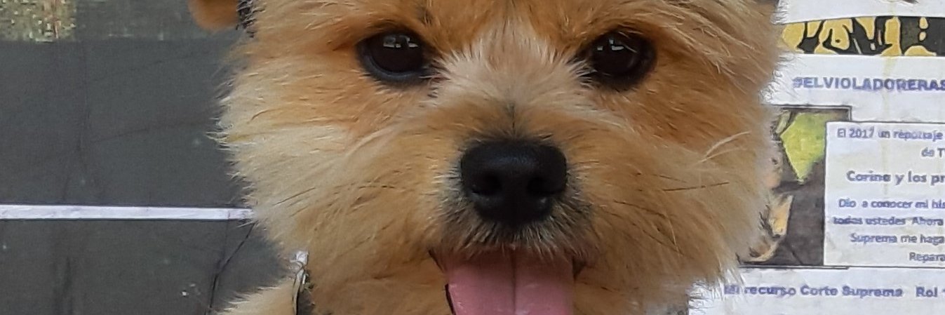 kproletariado's profile banner image