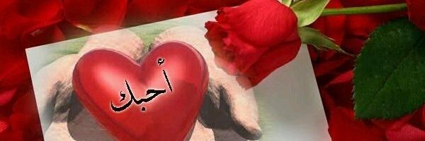 b_marzoog's profile banner image