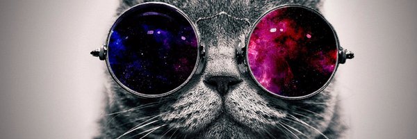 JackChappleSci Profile Banner