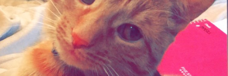 cat_weiser's profile banner image
