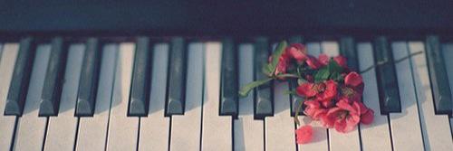 _claracastillo's profile banner image