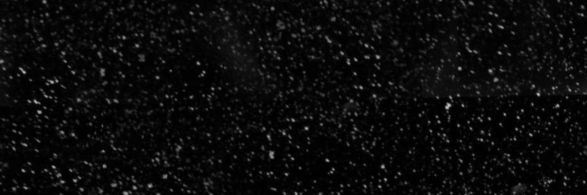 iamnussle's profile banner image