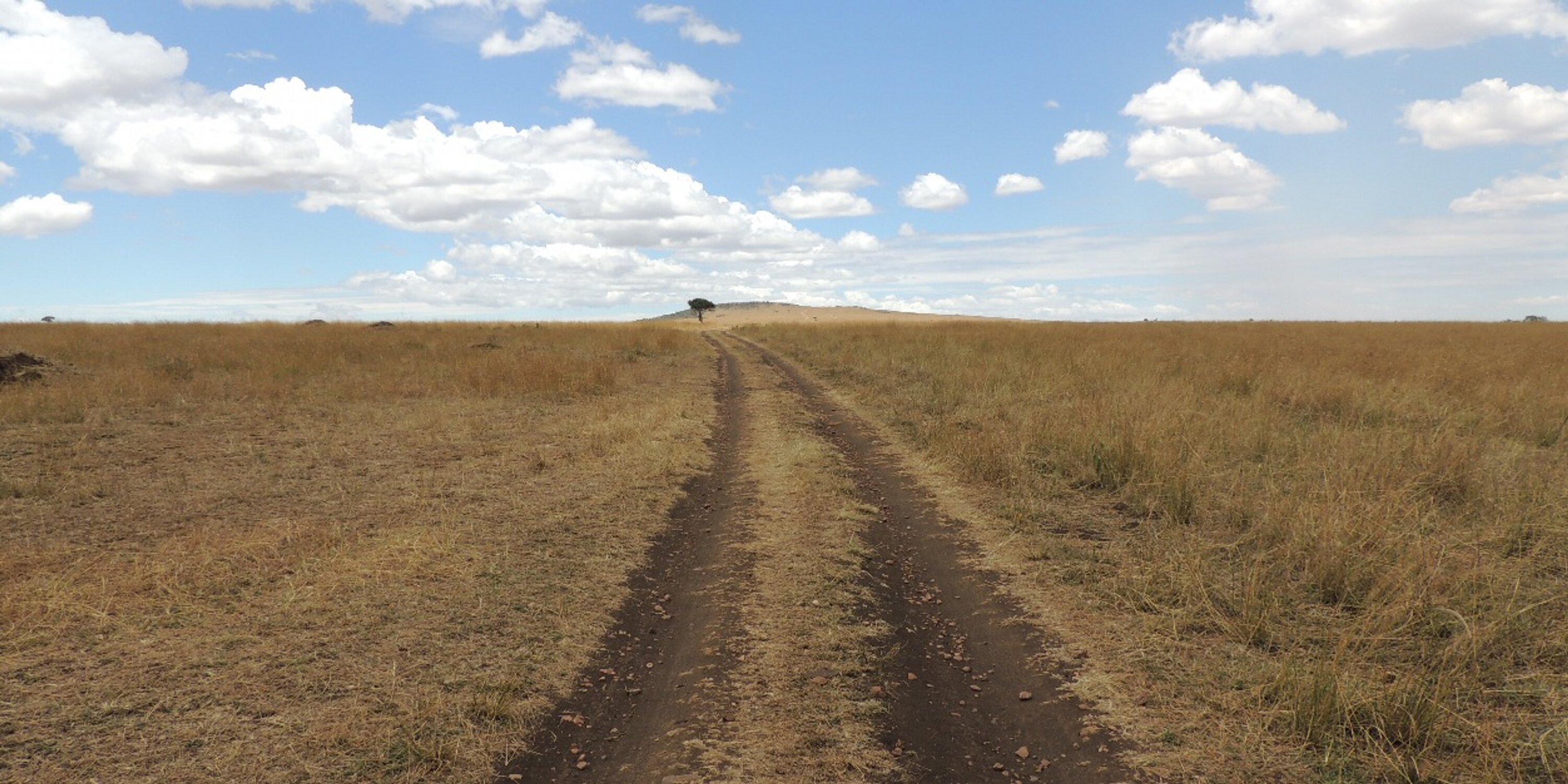 Vegeta base.eth banner