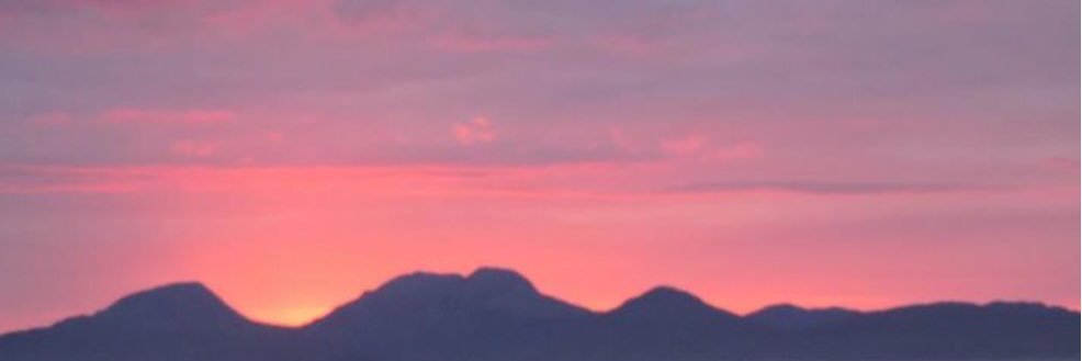 Brenda Binnie banner