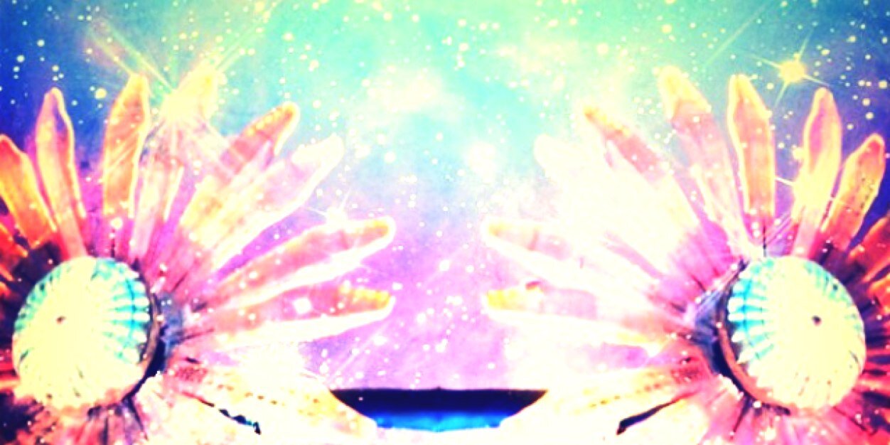 morganleheny's profile banner image
