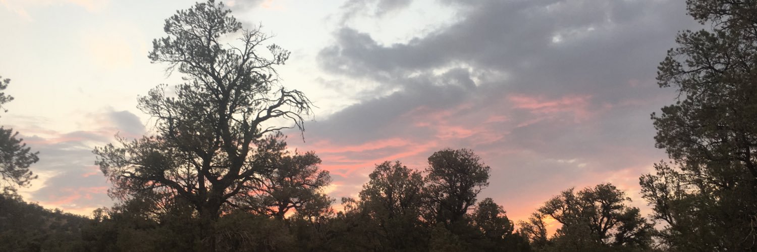 Yassi kavezade banner