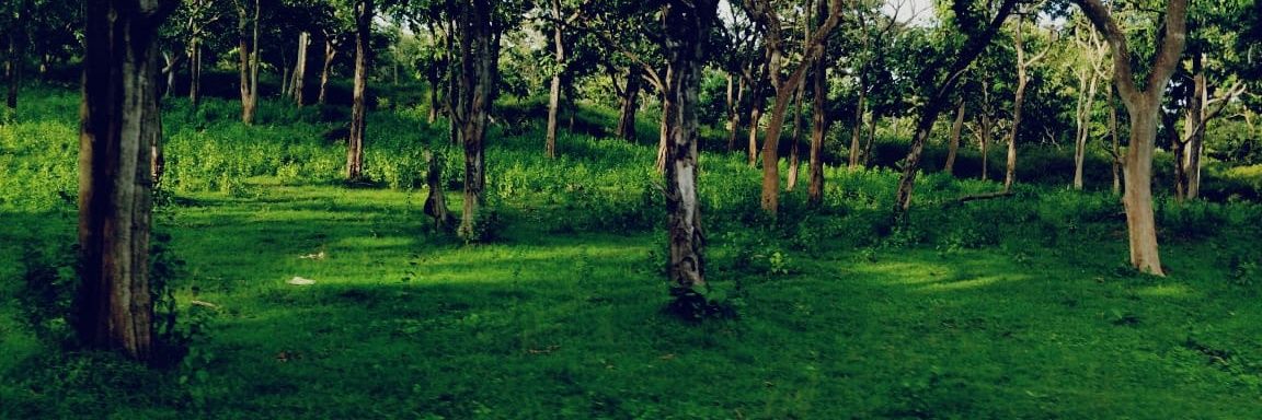 PurnenduKSahoo's profile banner image